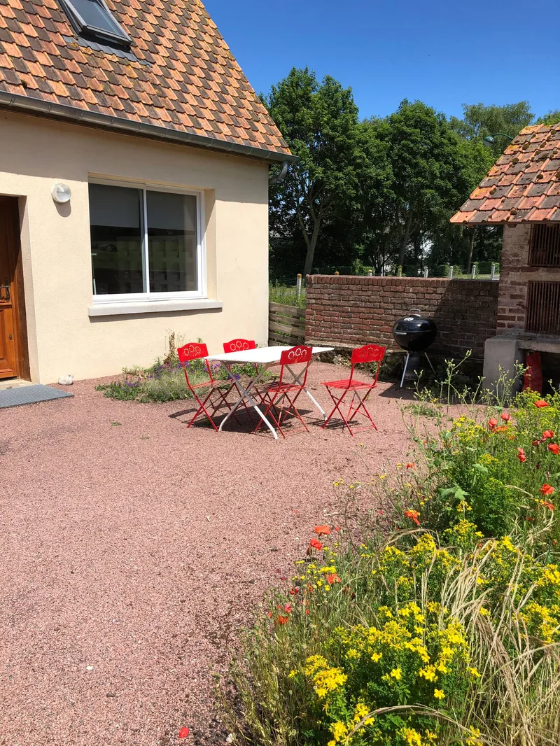 The terrace and garden